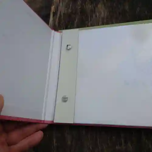 阿佐ヶ谷神明宮(東京都)