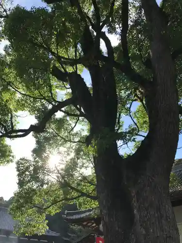 由加神社（和気由加神社）の自然
