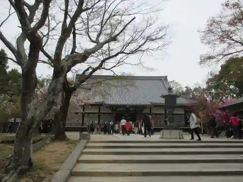 仁和寺の本殿・本堂