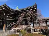 西円寺の{uncategorized: "未分類", other: "その他", undefined: "問題あり", building: "その他建物", grave: "お墓", sacred_gate: "鳥居", guardian: "狛犬", statue: "像", buddha: "仏像", history: "歴史", nature: "自然", garden: "庭園", animal: "動物", pagoda: "塔", temizu: "手水舎", mountain_gate: "山門・神門", sanctuary: "本殿・本堂", subordinate: "末社・摂社", art: "芸術", scenery: "景色", jizo: "地蔵", ema: "絵馬", goshuin: "御朱印", omikuji: "おみくじ", items: "授与品その他", amulet: "お守り", goshuincho: "御朱印帳", eats: "食事", festival: "お祭り", votive_dance: "神楽", shichigosan: "七五三参", wedding: "結婚式", experience: "体験その他", initially: "初詣", around: "周辺", anti_infection: "感染症対策"}