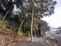龍王神社(奈良県)
