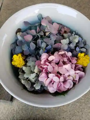 白金氷川神社(東京都)