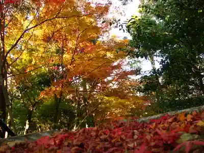 安養寺のその他建物