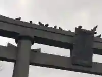 福井神社(福井県)