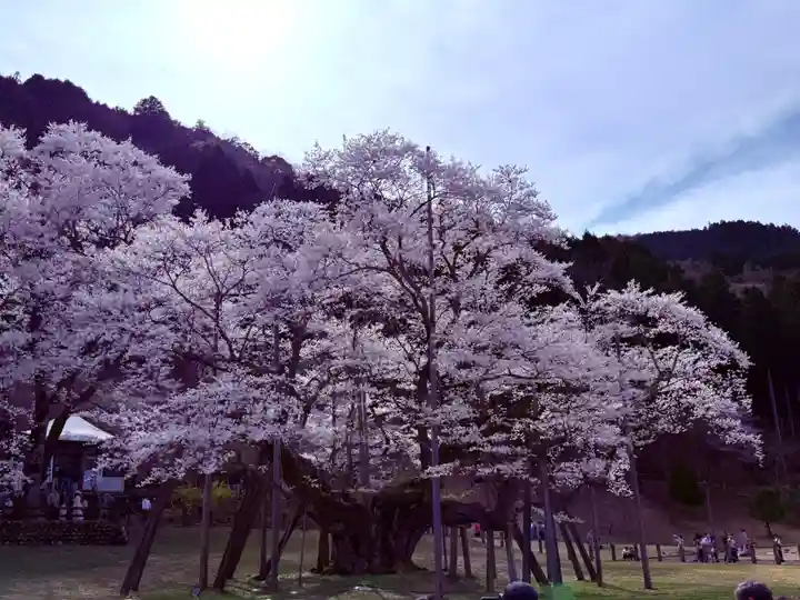 淡墨観音の御朱印