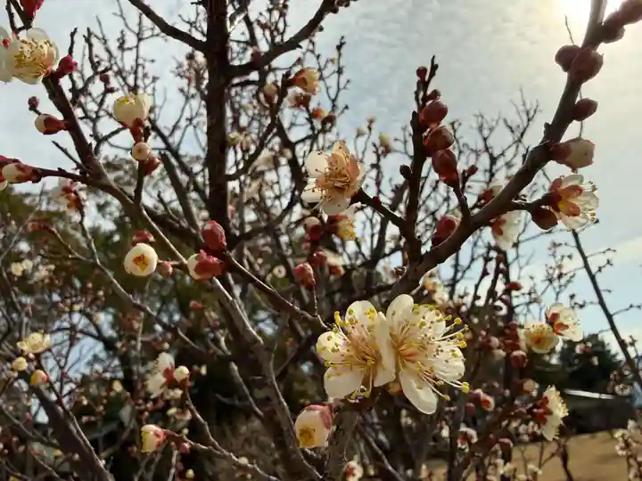 美奈宜神社(福岡県)