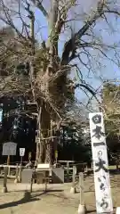 水戸八幡宮の建物その他