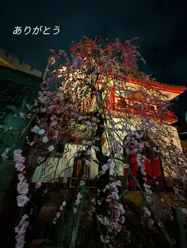 成願寺(東京都)