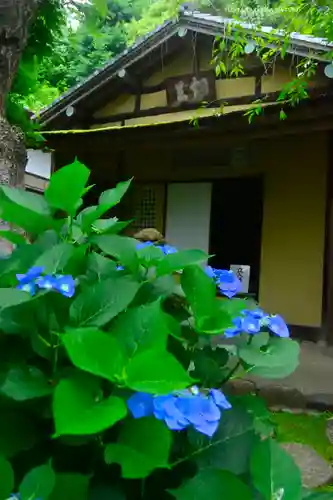 佛日庵(神奈川県)