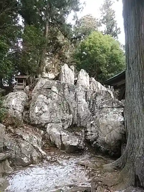 鹿島大神宮の自然