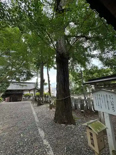 玉前神社(千葉県)