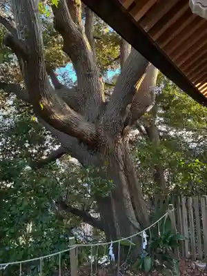 検見川神社(千葉県)