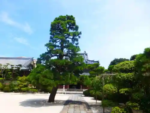 千眼寺(福岡県)