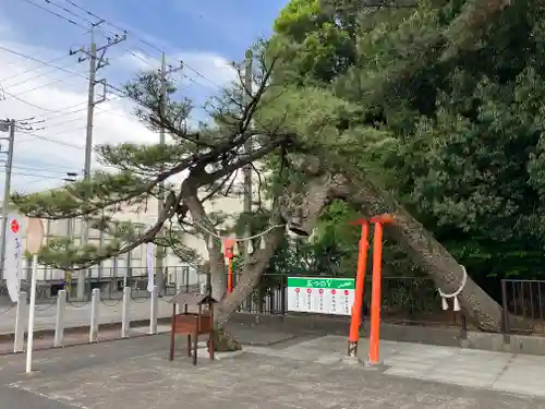 玉村八幡宮の庭園