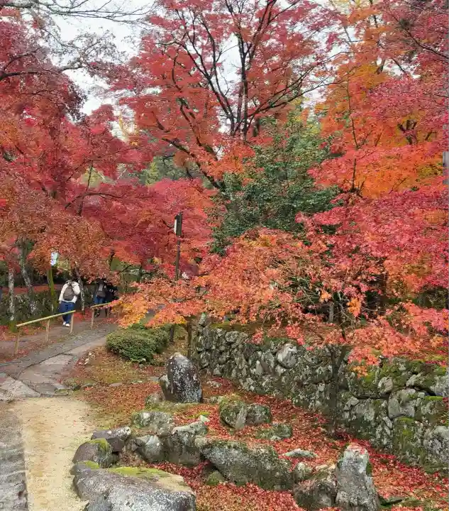 金剛輪寺(滋賀県)