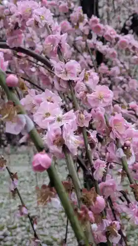 城南宮(京都府)
