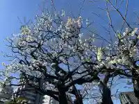 栄松院の{uncategorized: "未分類", other: "その他", undefined: "問題あり", building: "その他建物", grave: "お墓", sacred_gate: "鳥居", guardian: "狛犬", statue: "像", buddha: "仏像", history: "歴史", nature: "自然", garden: "庭園", animal: "動物", pagoda: "塔", temizu: "手水舎", mountain_gate: "山門・神門", sanctuary: "本殿・本堂", subordinate: "末社・摂社", art: "芸術", scenery: "景色", jizo: "地蔵", ema: "絵馬", goshuin: "御朱印", omikuji: "おみくじ", items: "授与品その他", amulet: "お守り", goshuincho: "御朱印帳", eats: "食事", festival: "お祭り", votive_dance: "神楽", shichigosan: "七五三参", wedding: "結婚式", experience: "体験その他", initially: "初詣", around: "周辺", anti_infection: "感染症対策"}
