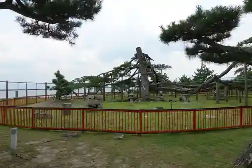 唐崎神社の自然