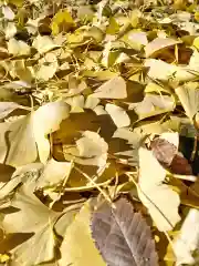 阿邪訶根神社(福島県)