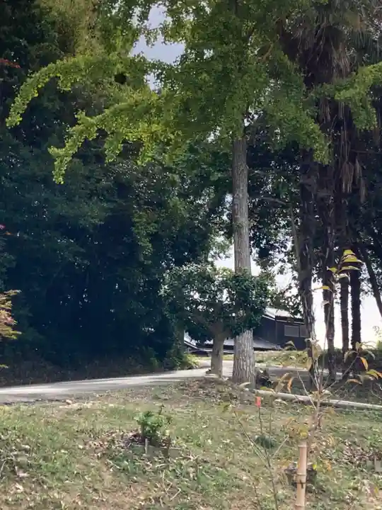 若年神社(兵庫県)