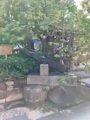 三宮神社(兵庫県)