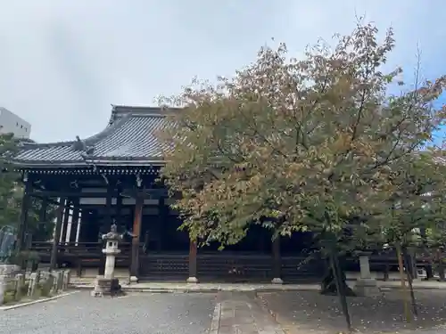 本法寺の本殿・本堂