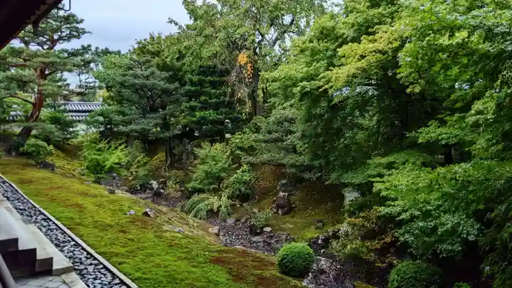 相国寺(相国承天禅寺)の庭園