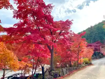 瓦屋寺(滋賀県)