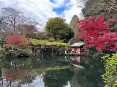 富士山本宮浅間大社(静岡県)