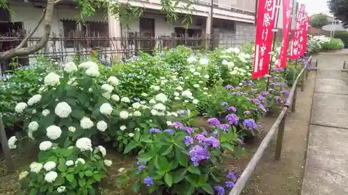 日吉八王子神社の庭園