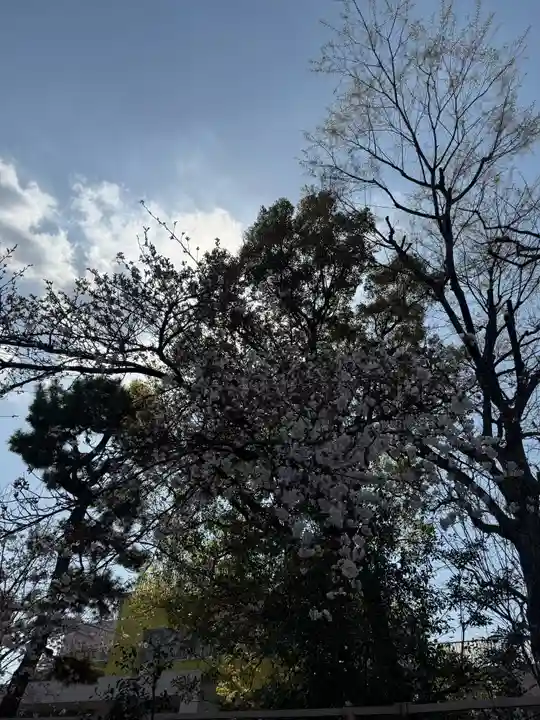 桜神宮(東京都)