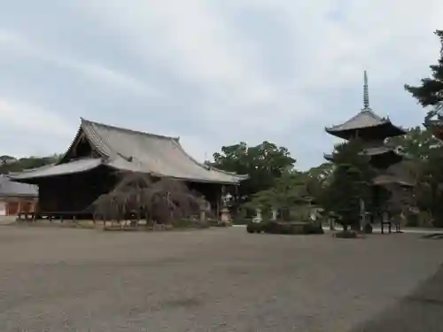 道成寺の本殿・本堂