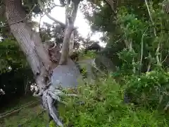 大六天王の建物その他