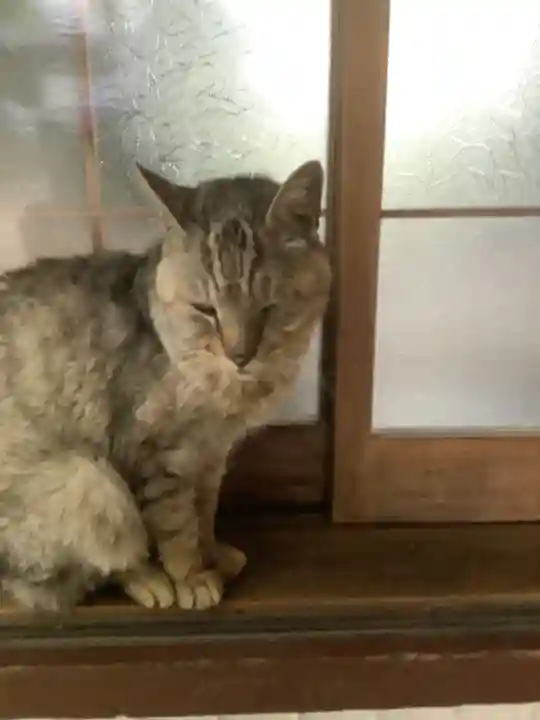 玉野御嶽神社の動物