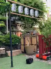 露天神社（お初天神）の動物