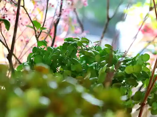 三津厳島神社のその他建物