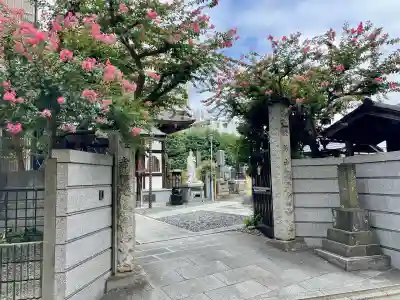 宝性寺(埼玉県)