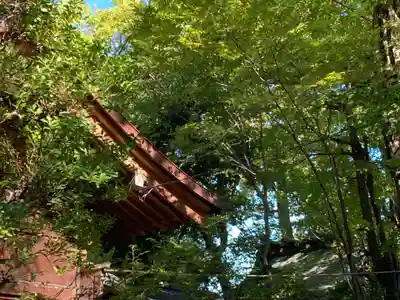 仲町氷川神社(東京都)