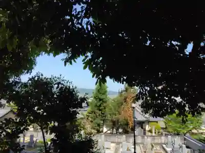 野々上八幡神社(大阪府)