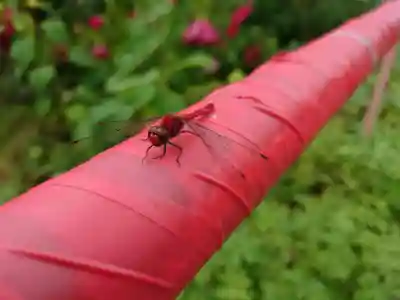 栗山天満宮(北海道)