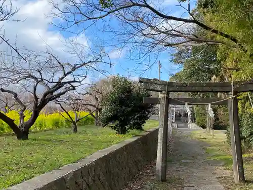 神前神社の鳥居