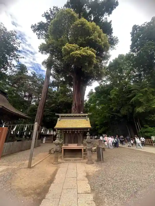 鹿島神宮(茨城県)