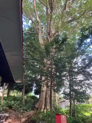 常光寺(長野県)