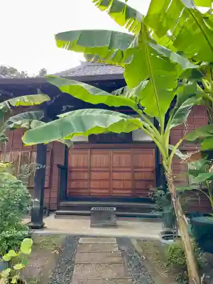 洞雲寺(東京都)