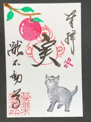 リンゴと新しい見上げる仔猫です。