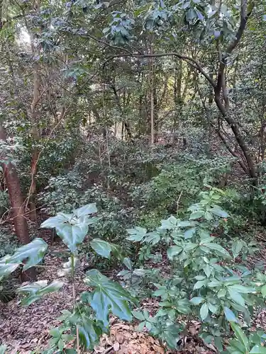 八事山 興正寺の自然