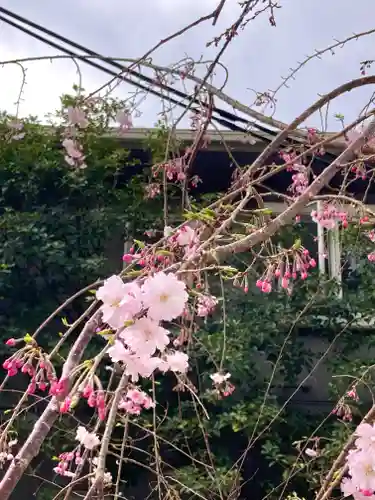 鳥飼八幡宮(福岡県)