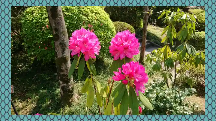 冠稲荷神社(群馬県)