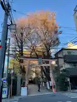 赤城神社(東京都)
