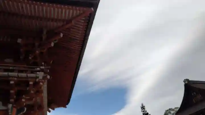 賀茂御祖神社(下鴨神社)(京都府)
